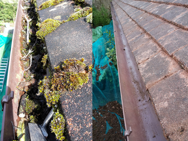Gutter Cleaning