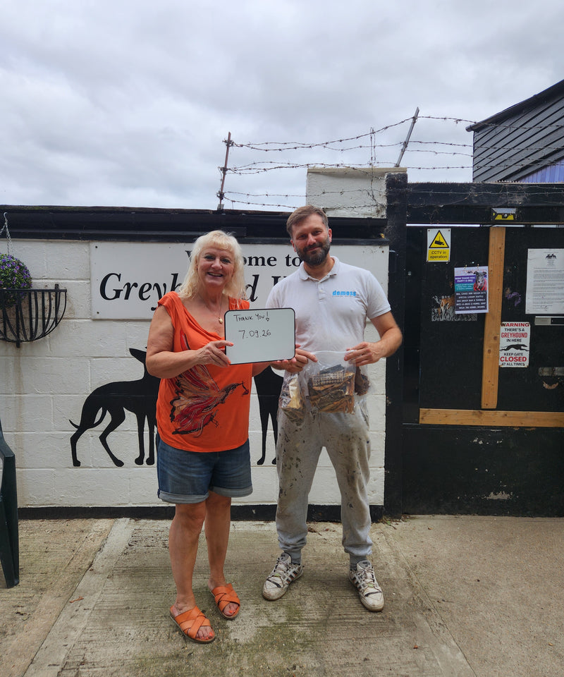 Supporting Wimbledon Greyhound Welfare