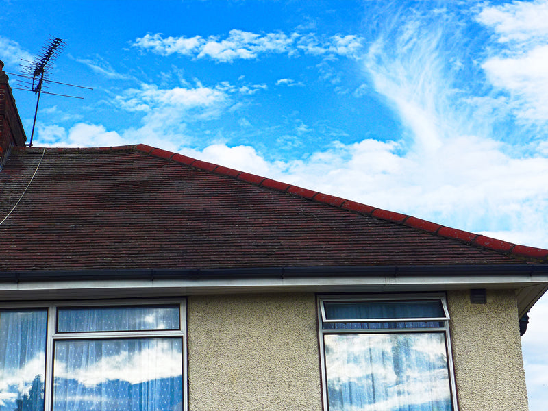 Roof Cleaning