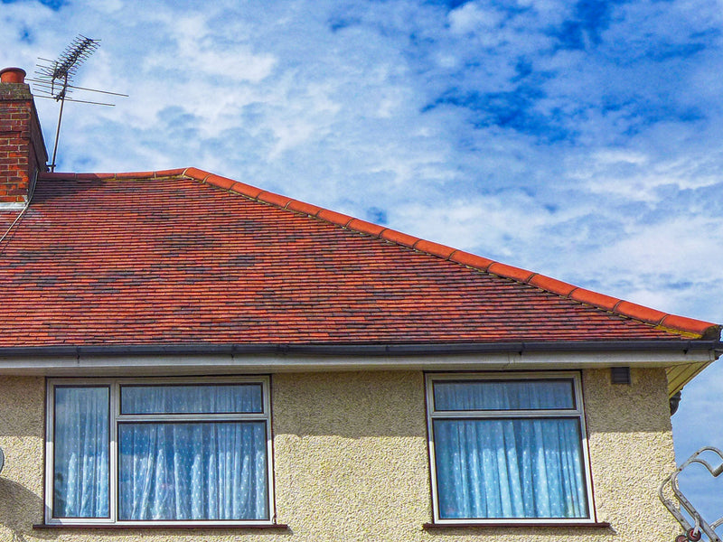 Roof Cleaning