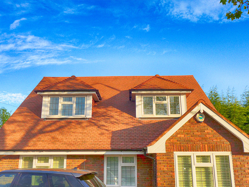 Roof Cleaning