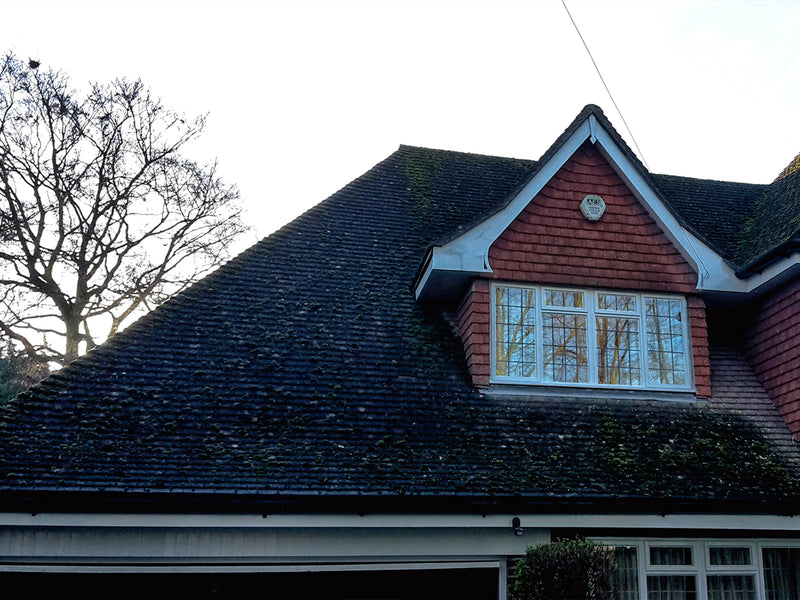 Roof Cleaning