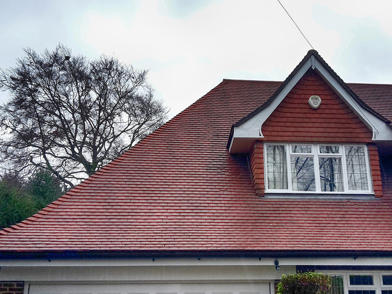 Roof Cleaning