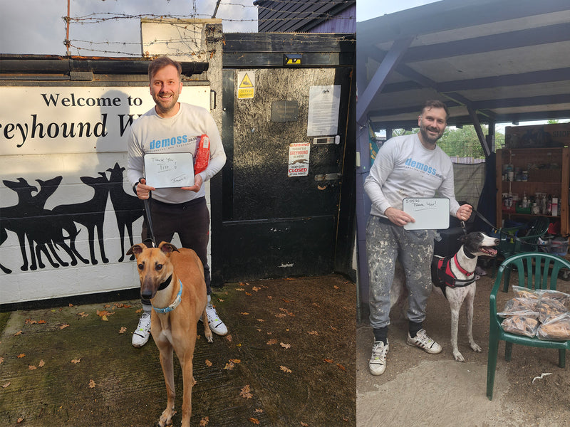 Supporting Wimbledon Greyhound Welfare
